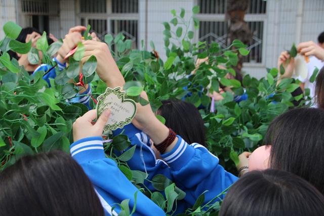 1745225313517833.jpg 女生们将写满愿景的心愿卡挂在心愿树上.jpg